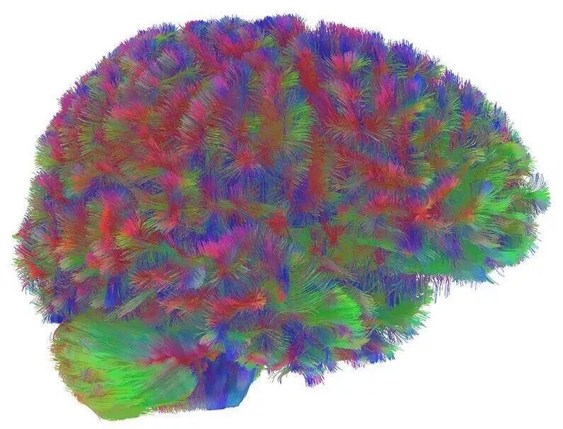 Epoch 1（0-9岁）：混乱中的初步整合