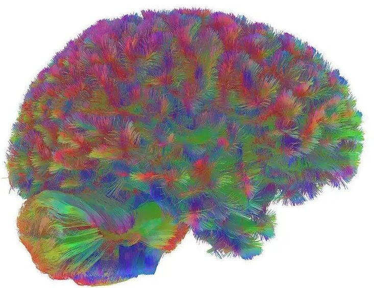 Epoch 2（9-32岁）：疯狂建设快车道