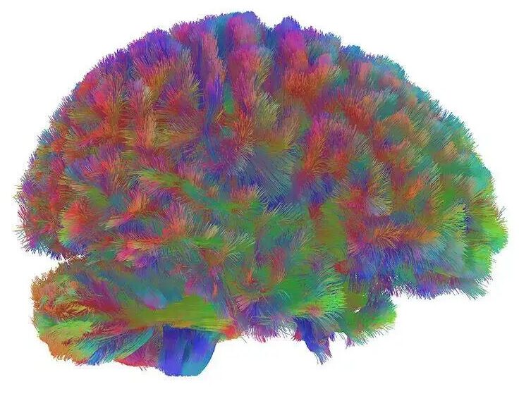 Epoch 4（66-83岁）：渐进式模块化