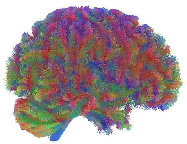 Epoch 5（83-90岁）：依赖核心节点